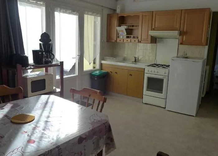 Les Lauriers 公寓 滨海圣帕莱